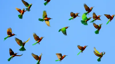 Illustration scramble - Image 1