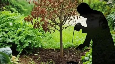 Illustration hurting - Image 1