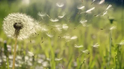 Illustration overspread - Image 1