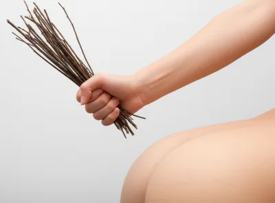 Illustration birch - Image 1