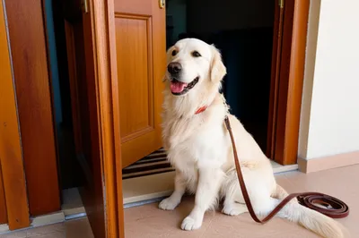 Illustration c - Image 1