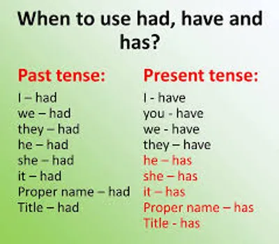 Illustration has - Image 2