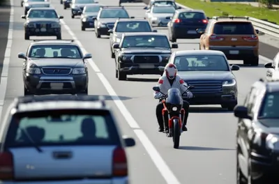 Illustration filters - Image 1