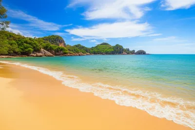 Illustration costal - Image 1