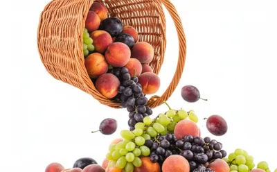 Illustration plump - Image 1