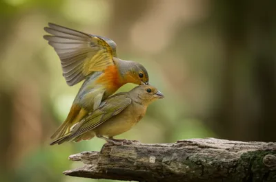 Illustration tread - Image 1