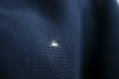 Illustration shive - Image 1