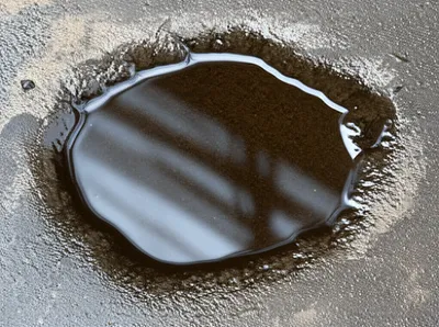 Illustration dried - Image 1