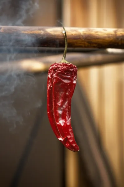 Illustration chipotle - Image 1