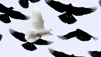 Illustration stained - Image 1