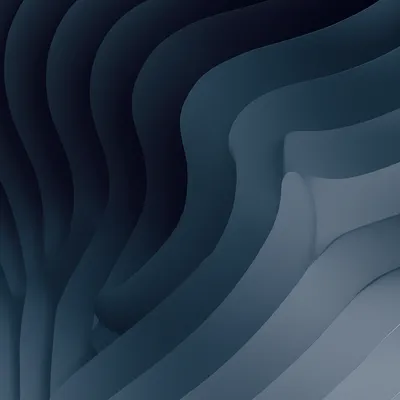 Illustration wolf - Image 1