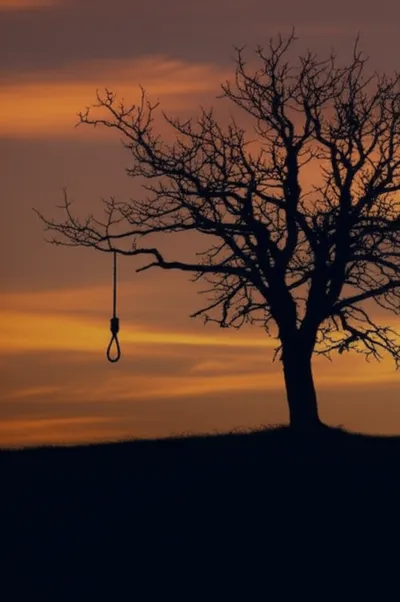 Illustration hung - Image 1