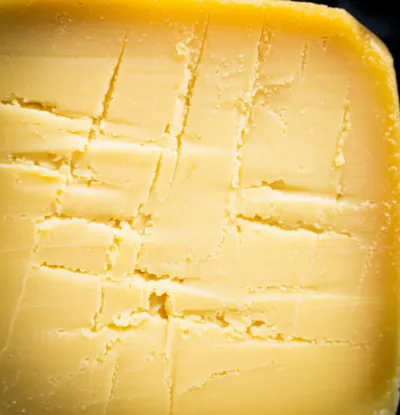 Illustration rats - Image 1