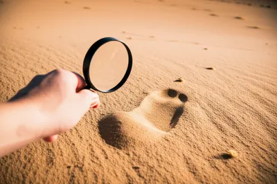 Illustration inquest - Image 1