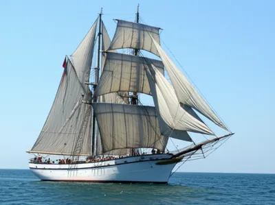 Illustration jams - Image 1