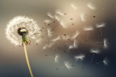 Illustration puff - Image 1