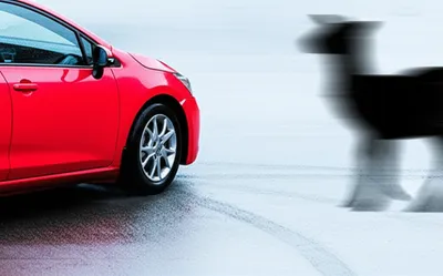 Illustration swerve - Image 1