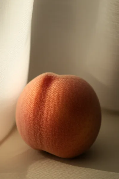 Illustration softer - Image 1