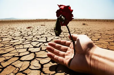 Illustration mocking - Image 1