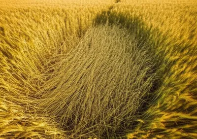 Illustration lodging - Image 1