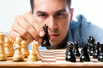 Illustration wilful - Image 1