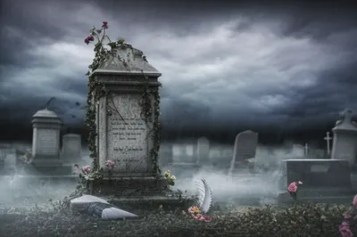 Illustration sites - Image 1