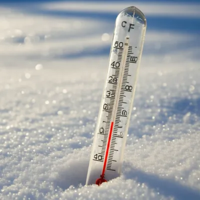 Illustration neg - Image 1