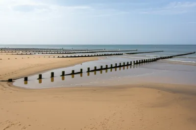 Illustration groin - Image 1