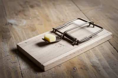 Illustration rattrap