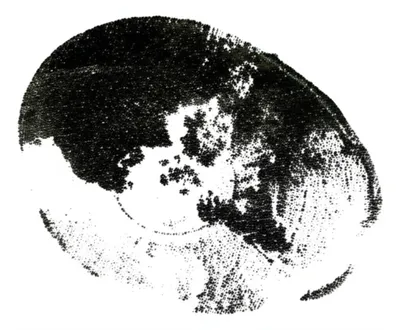 Hình ảnh minh họa killer - Ảnh 1