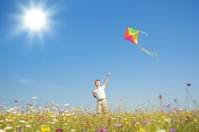 Illustration felicity - Image 1