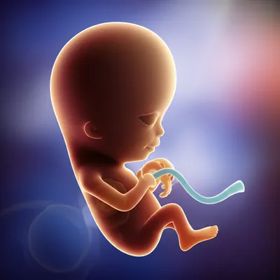 Illustration abort - Image 1