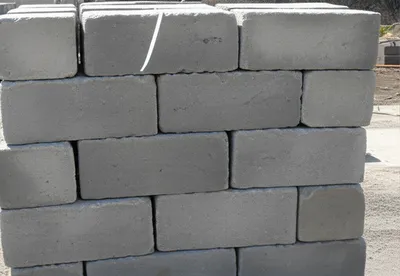 Illustration perch - Image 1