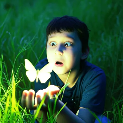 Illustration discovers - Image 1