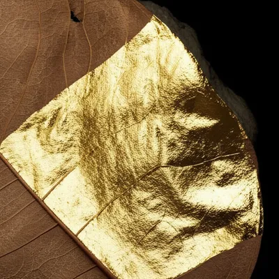 Illustration gilded - Image 1