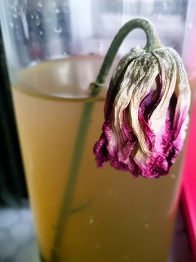 Illustration sickly - Image 1