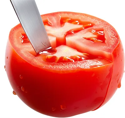 Illustration cuts - Image 1