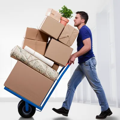 Illustration overloaded