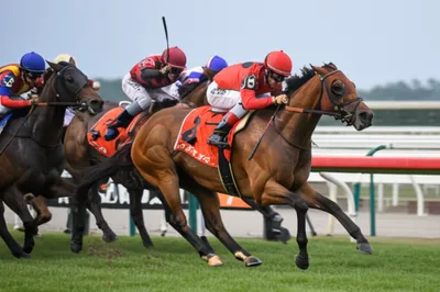 Illustration shown - Image 1