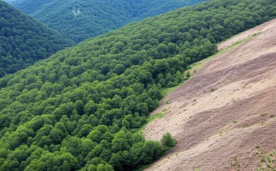 Illustration denude - Image 1