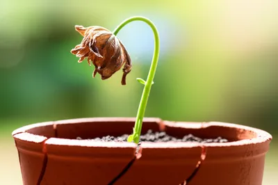 Illustration recoverable - Image 1