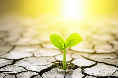 Illustration optimise - Image 1