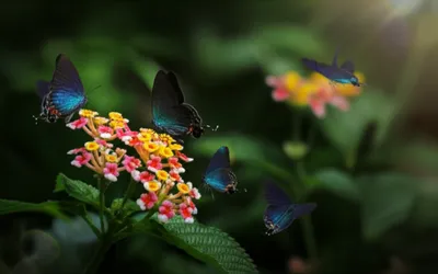 Illustration spark - Image 1