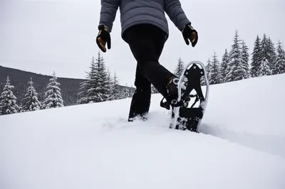 Hình ảnh minh họa flotation - Ảnh 1