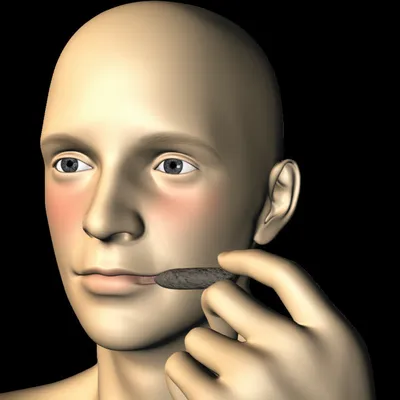 Illustration dip - Image 1