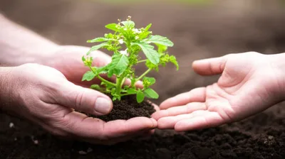 Illustration replies - Image 2