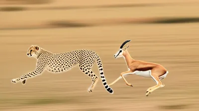 Illustration spotted - Image 1