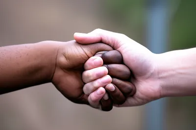 Illustration knotting - Image 1