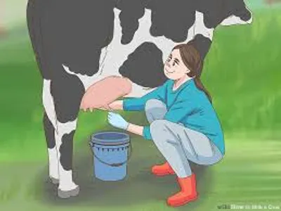 Illustration milk - Image 3