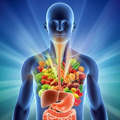 Illustration assimilate - Image 1